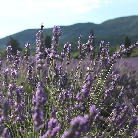 Gites Les Costoliers Chateauneuf-Miravail Екстер'єр фото