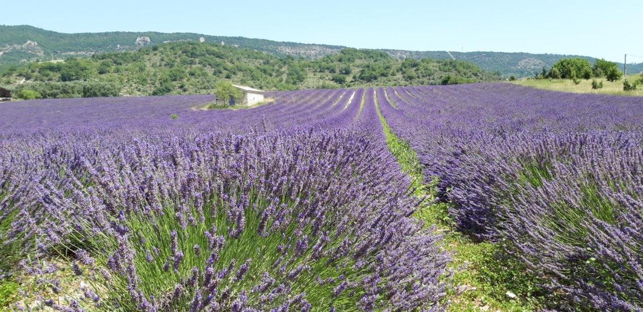 Gites Les Costoliers Chateauneuf-Miravail Екстер'єр фото