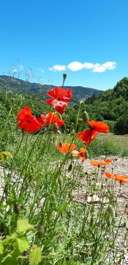 Gites Les Costoliers Chateauneuf-Miravail Екстер'єр фото