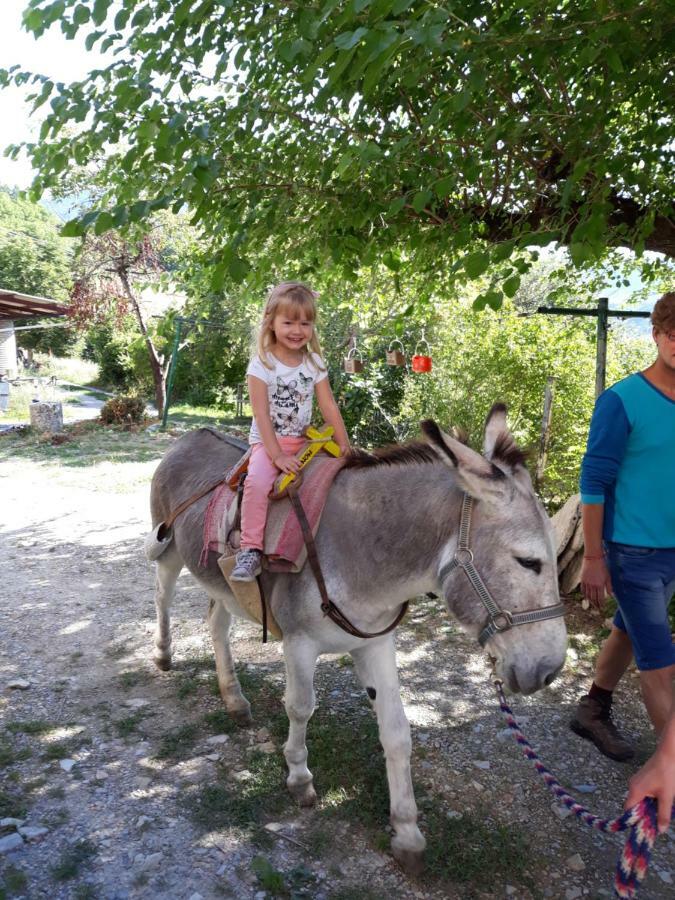 Gites Les Costoliers Chateauneuf-Miravail Екстер'єр фото